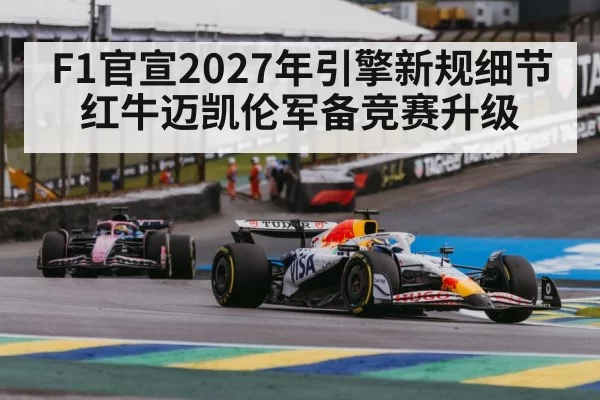 Red Bull McLaren F1 battle